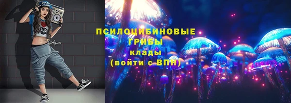 MDMA Premium VHQ Анжеро-Судженск