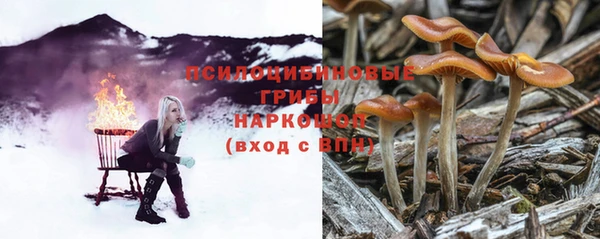 прущий лед Магас