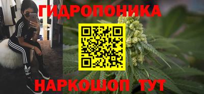 молекула духа Ливны