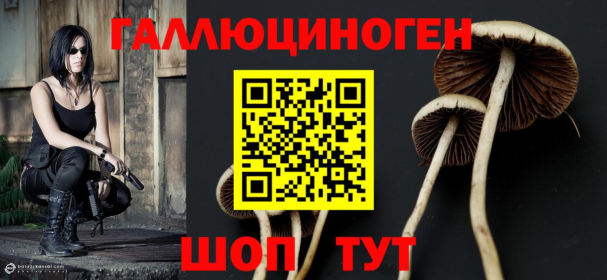 Галлюциногенные грибы мицелий  Псилоцибиновые грибы GOLDEN TEACHER  Старая Купавна  Вход с VPN 