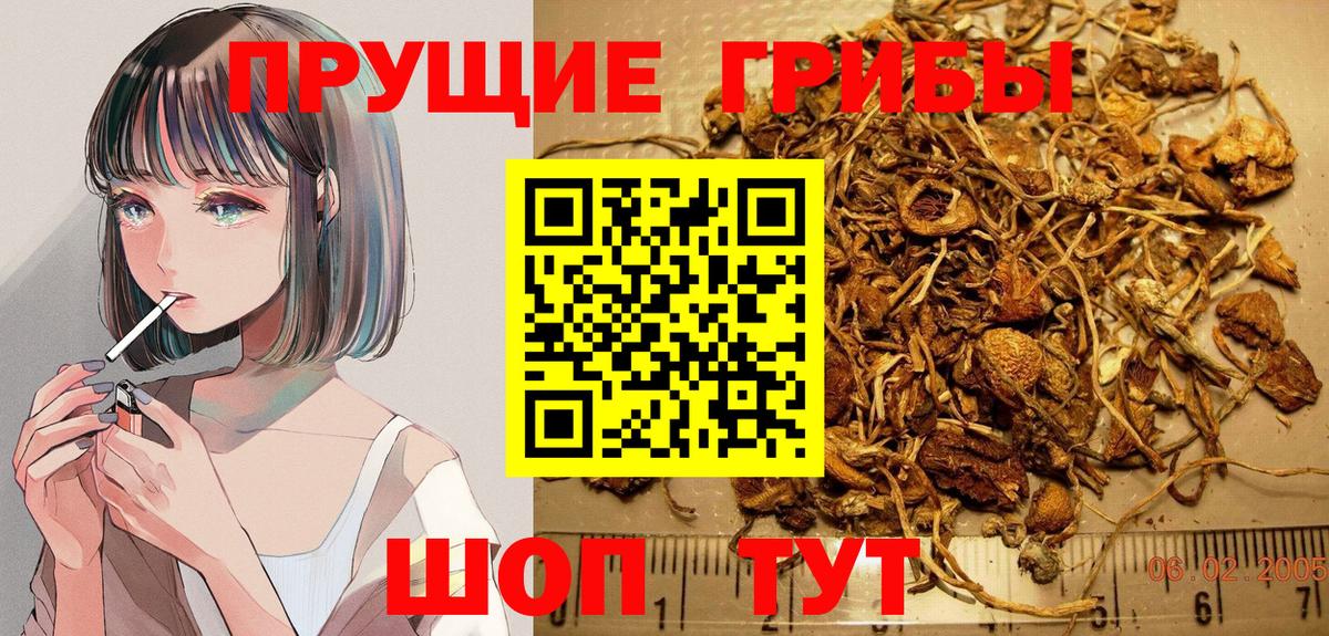 Галлюциногенные грибы Magic Shrooms Старая Купавна